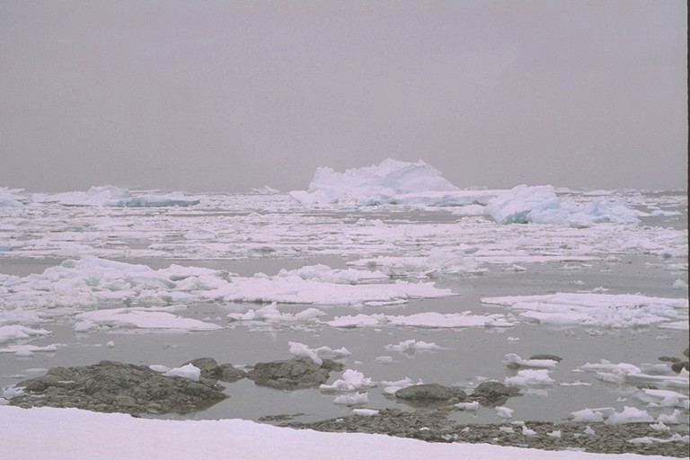 Foto de Couverville Island, Antártida