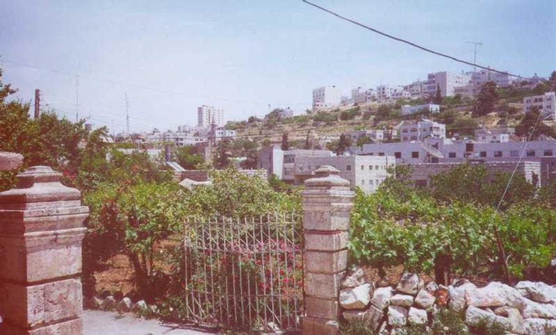 Foto de Hebron, Territorio Palestino