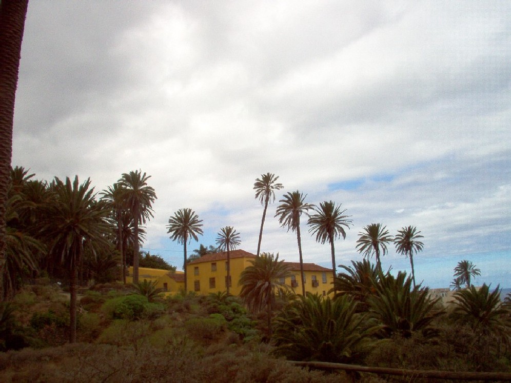 Foto de Los Realejos (Santa Cruz de Tenerife), España