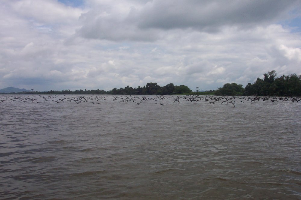 Foto de El Río San Juan, Nicaragua