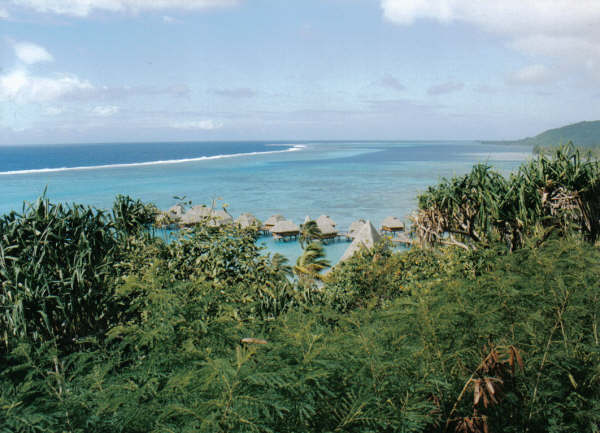 Foto de MOOREA, Polinesia Francesa