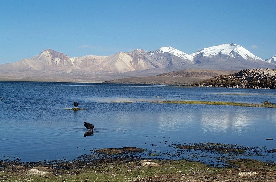 Foto de Lago Chungará, Chile