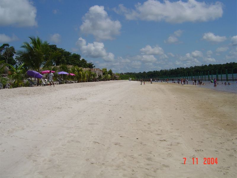 Foto de Witte Beach, Surinam