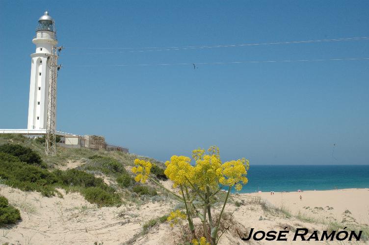 Foto de Vejer de la Frontera (Cádiz), España