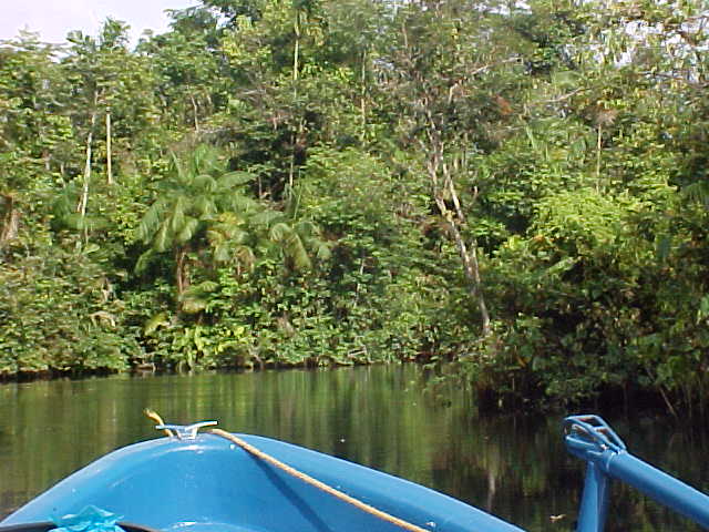 Foto de Delta Amacuro, Venezuela