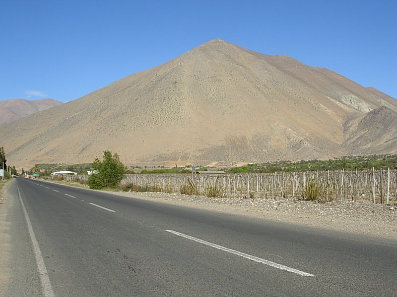Foto de Vicuña, Chile