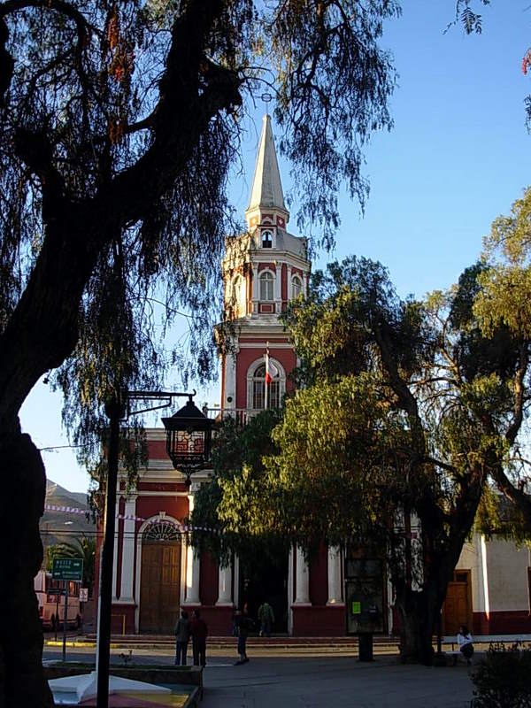 Foto de Vicuña, Chile