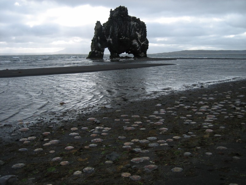 Foto de Hvítserkur, Islandia