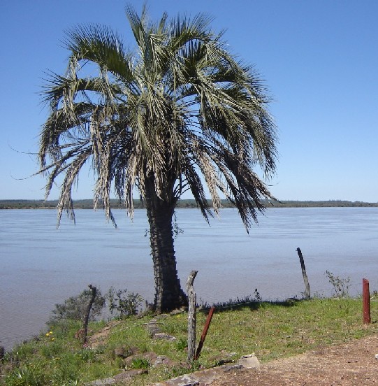 Foto de Colón, Entre Ríos., Argentina