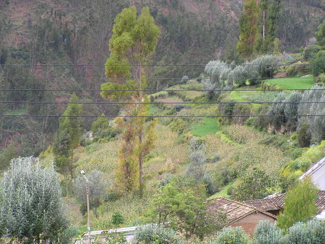 Foto de Tarmatambo (Tarma), Perú