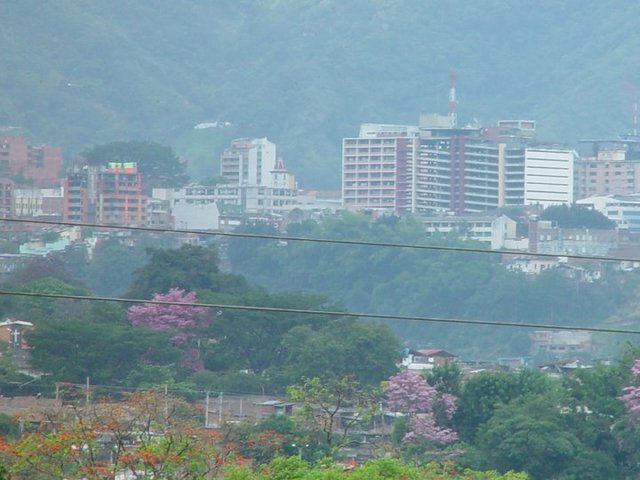 Foto de Ibagué, Colombia