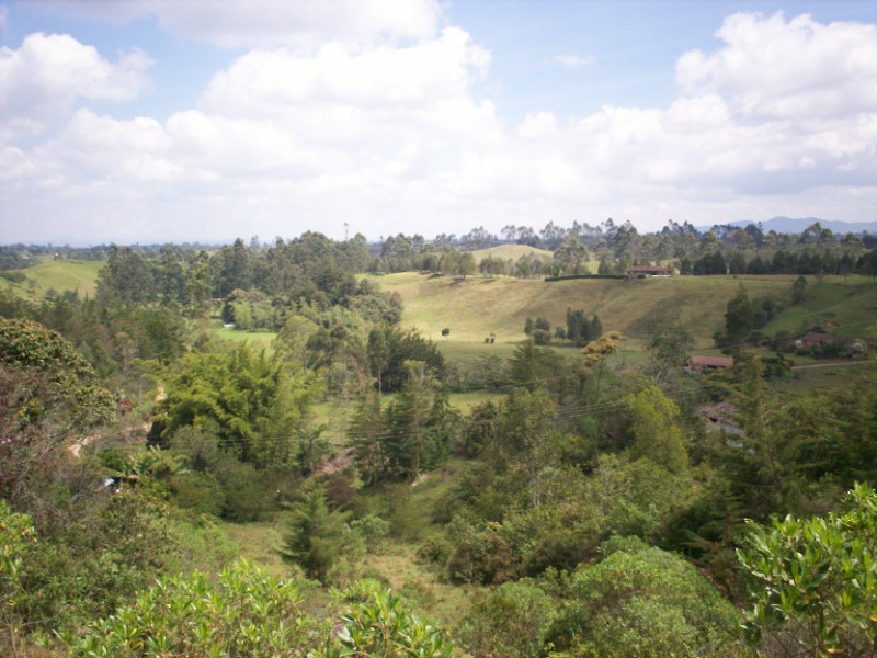 Foto de Carmen de Viboral - Antioquia, Colombia