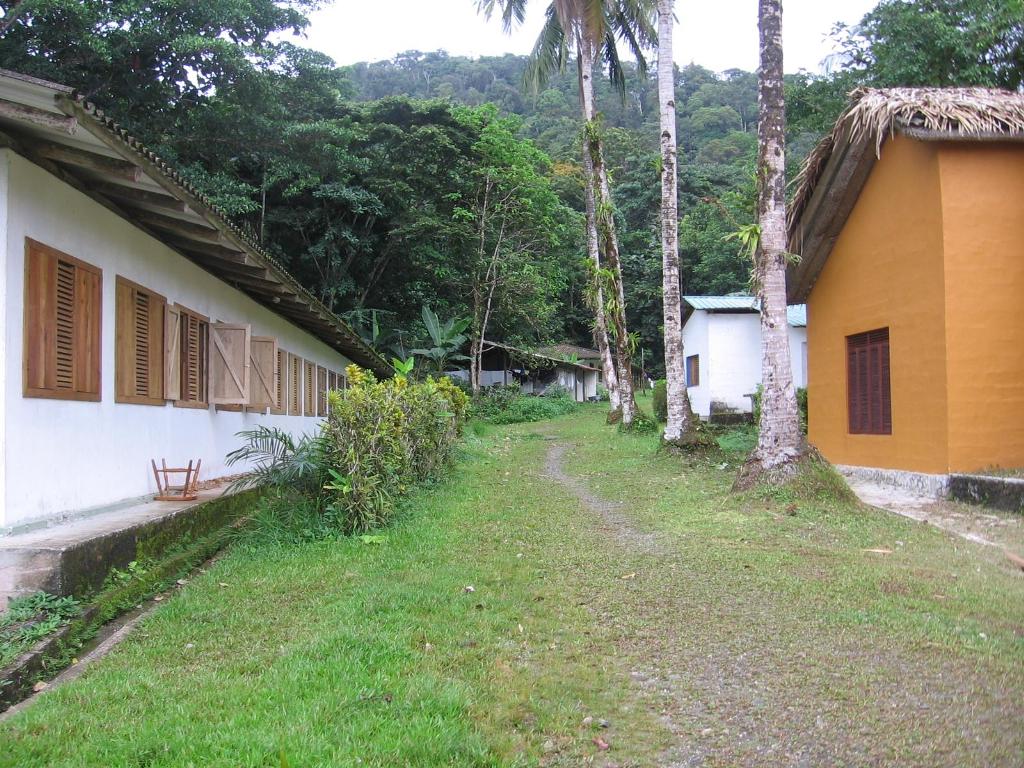 Foto de Isla Gorgona - Dpto. del Cauca, Colombia