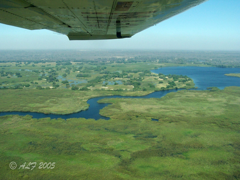 Foto de Maun, Botswana
