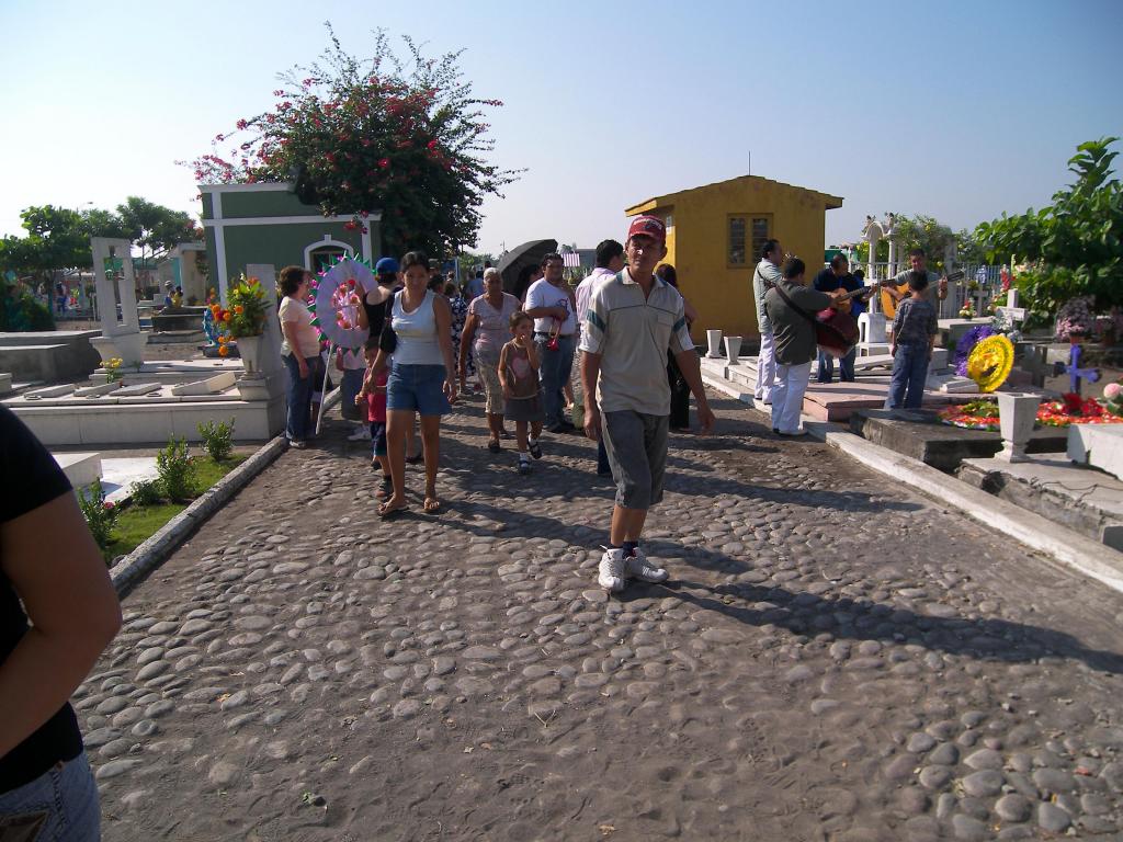 Download free software Mexican Postal Database Deluxe backupseek