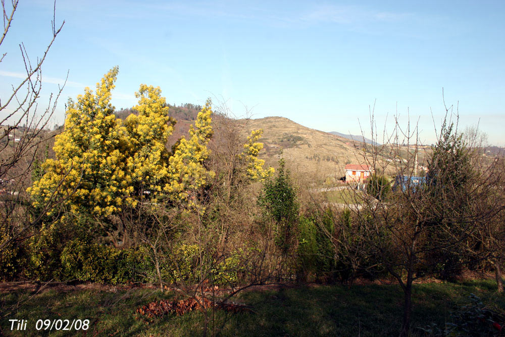 Foto de Figarines (Asturias), España
