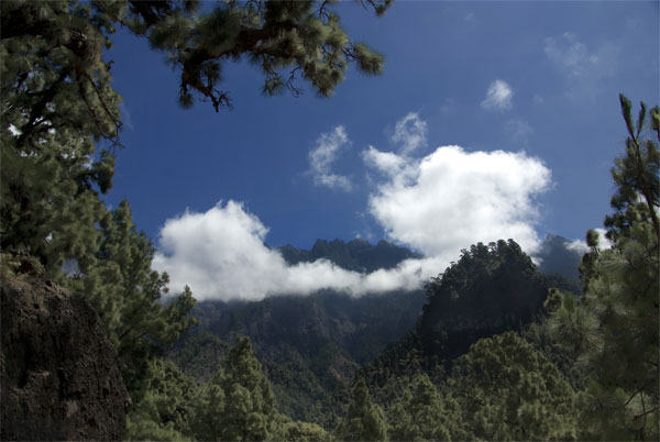 Foto de Los Llanos de Aridane (Santa Cruz de Tenerife), España