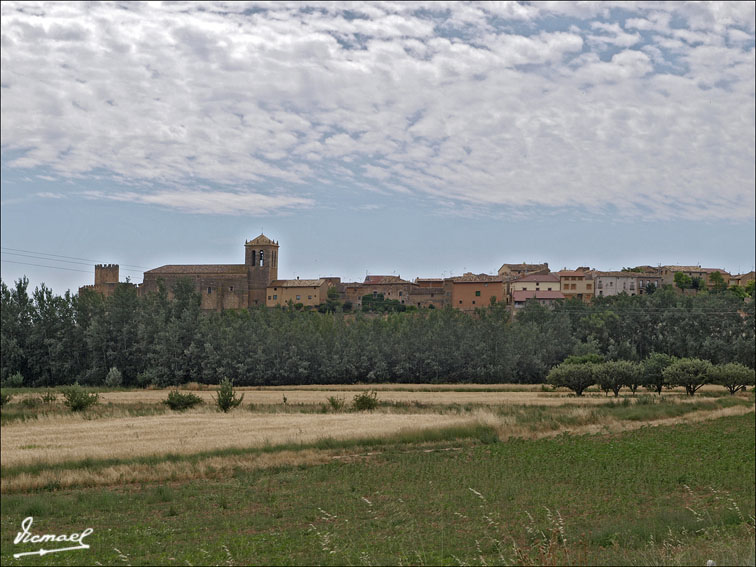 Foto de Monteagudo de las Vicarias (Soria), España