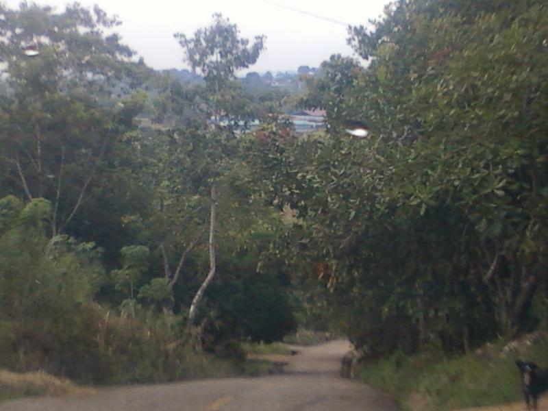 Foto de Loma del Río Arraiján, Panamá