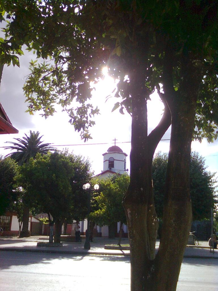 Foto de Comuna de Villa Alegre (Linares Septima Región), Chile