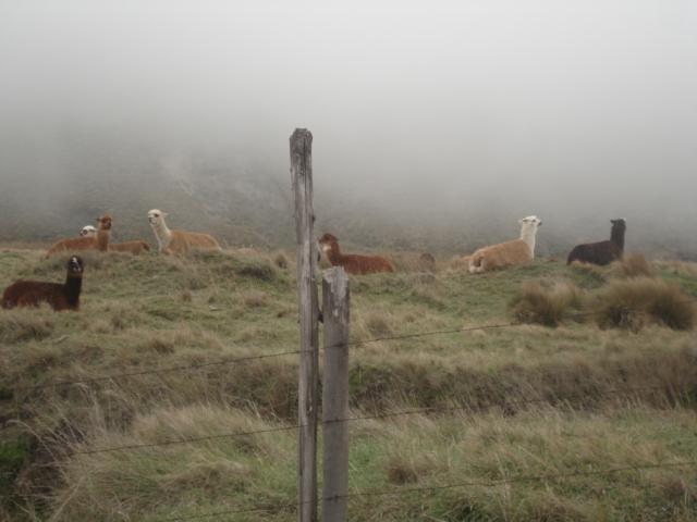 Foto de Chimborazo, Ecuador