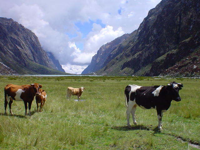 Foto de Llanganuco (Ancash), Perú