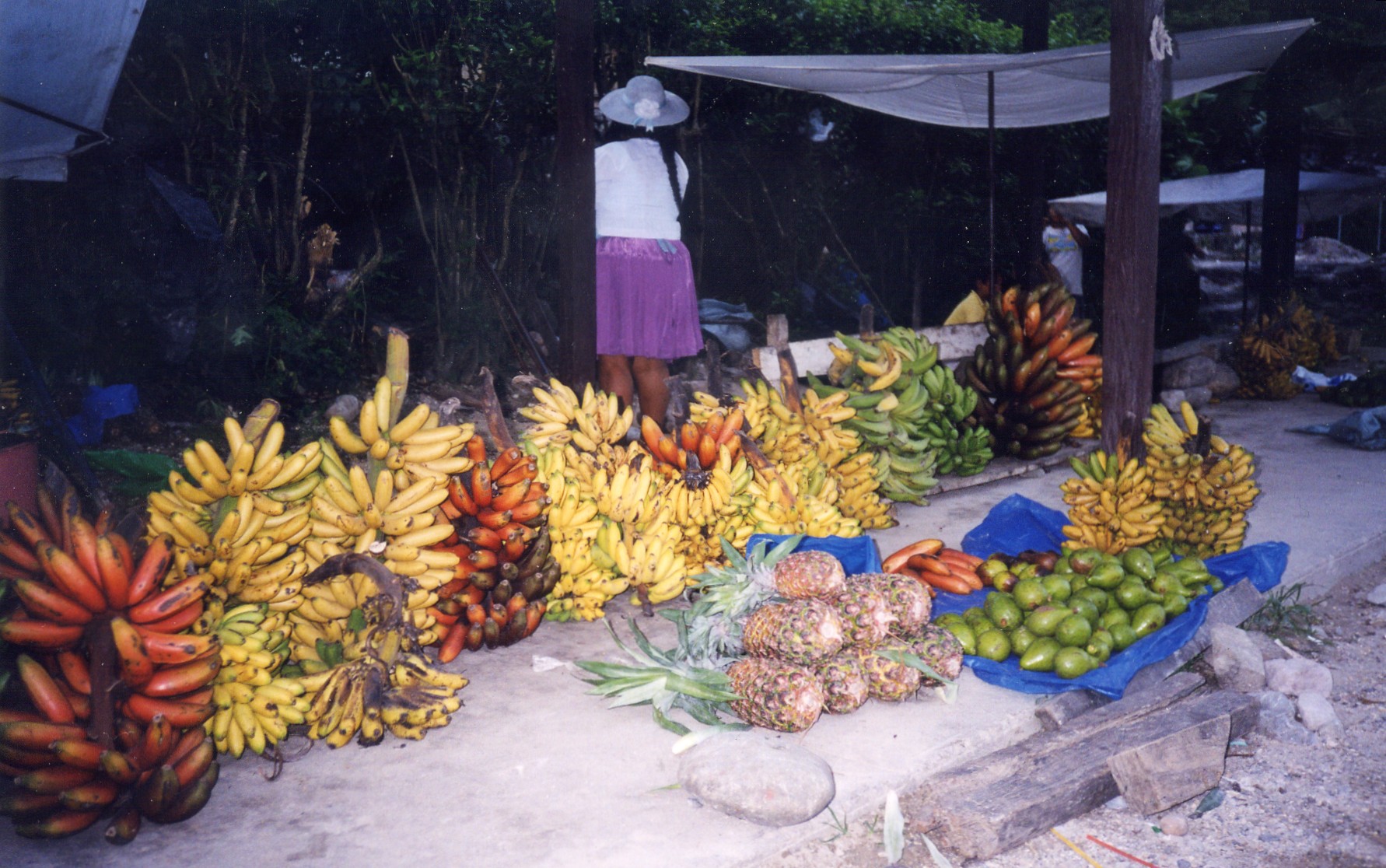 Foto: Fruit! - Villa Tunari (Santa Cruz), Bolivia