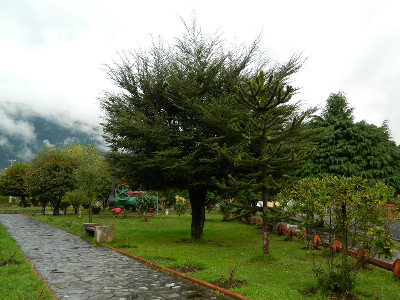 Foto: Coñaripe - Coñaripe (Región de Los Ríos), Chile