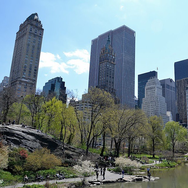 Foto: Central Park - Nueva York (New York), Estados Unidos
