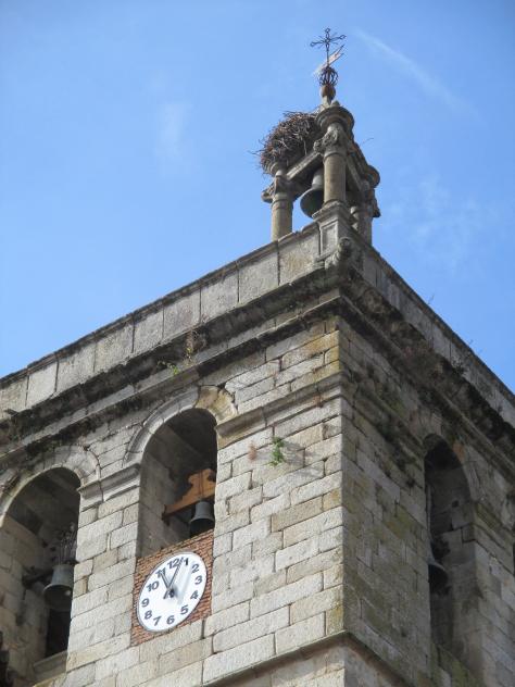 Foto: Torre del campanario de Santa Cecilia con un nido de cigüeñas - La Alberca (Salamanca), España