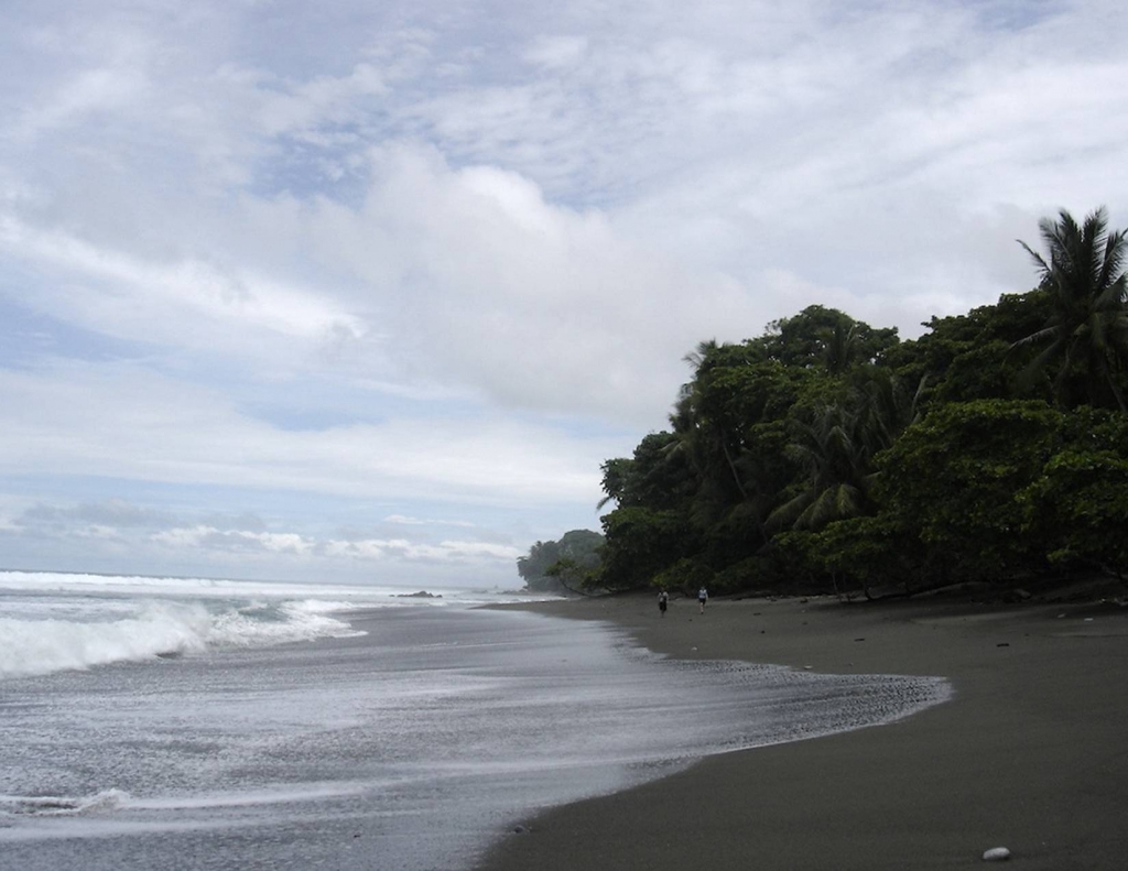 Foto de Peninsula de Osa, Puntarenas, Costa Rica