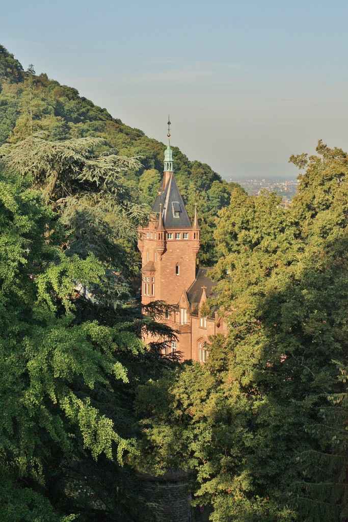 Foto: Entre el bosque - Heidelberg (Baden-Württemberg), Alemania