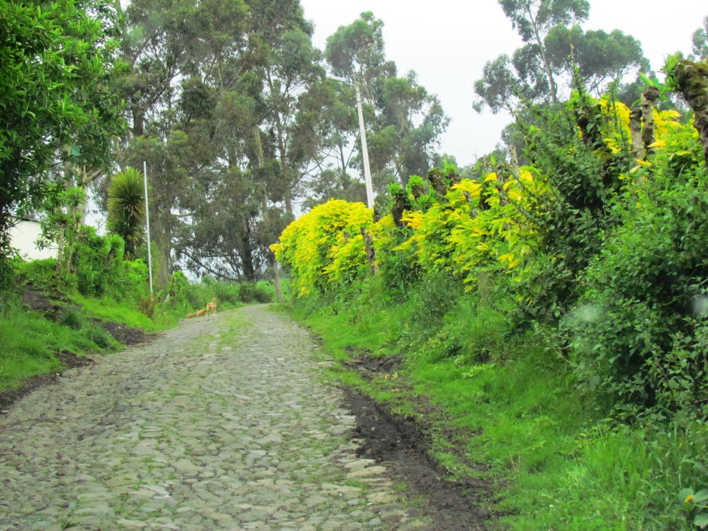 Foto de Cotopaxi, Ecuador