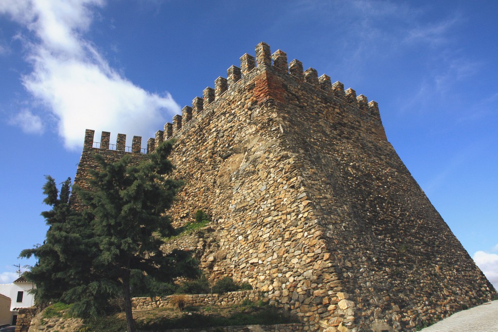 Foto: Castillo - Serón (Almería), España