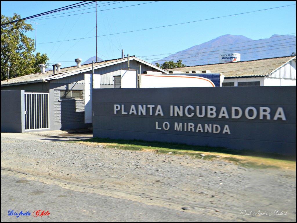 Foto de Lo Miranda (Libertador General Bernardo OʼHiggins), Chile