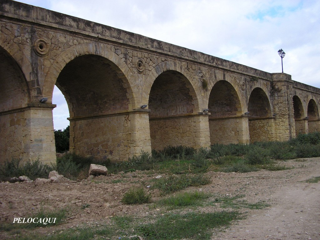 Foto: Puente de piedra - Palma Del Rio (Córdoba), España