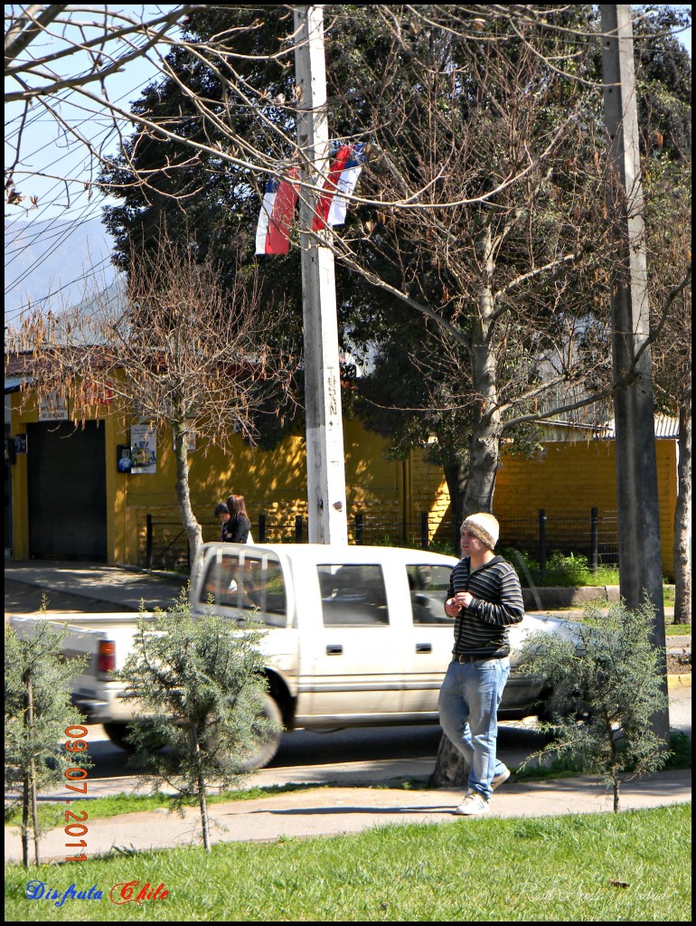 Foto de Coltauco (Libertador General Bernardo OʼHiggins), Chile