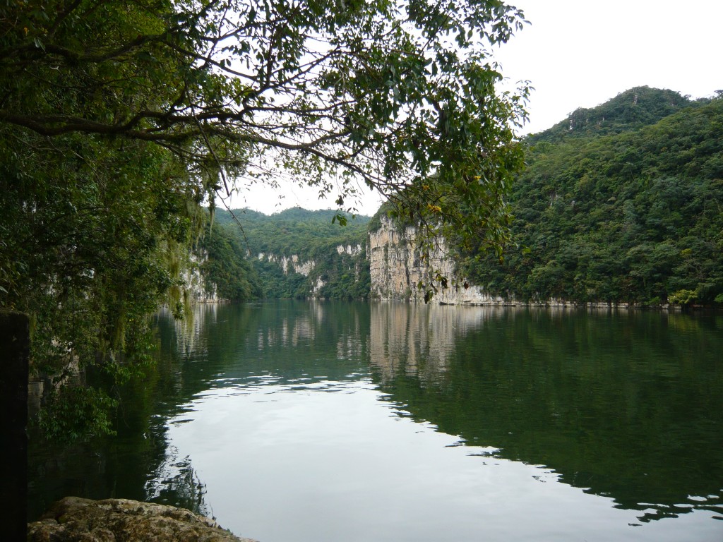 Foto: Reserva de la Biósfera del Ocote - Ocozocoautla (Chiapas), México