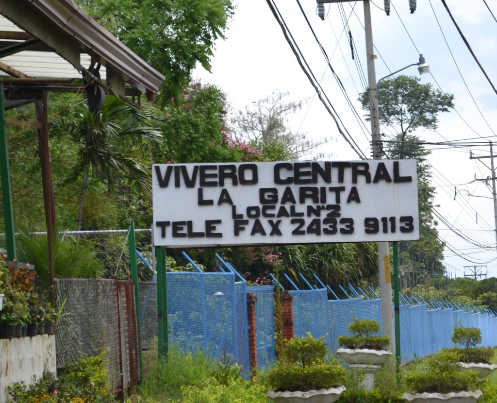 Foto: Vivero Central - La Garita (Alajuela), Costa Rica