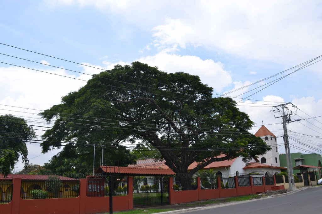Foto: El Higueron - San Rafael De Alajuela (Alajuela), Costa Rica