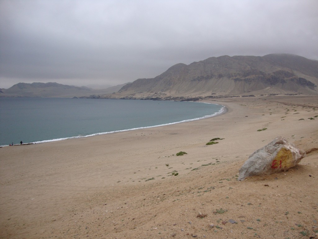 Foto: Playa Cifuncho - Taltal (Antofagasta), Chile