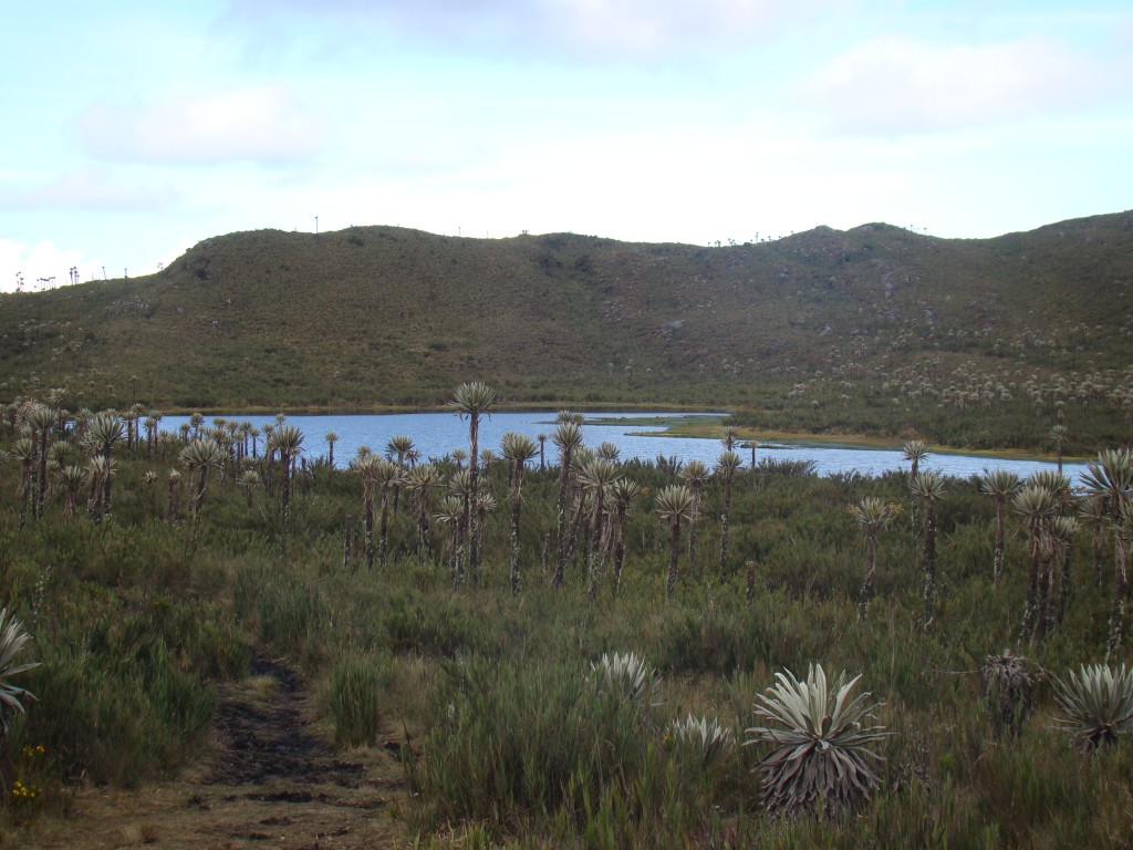 Foto: Laguna de los Buitrago - La Calera (Cundinamarca), Colombia
