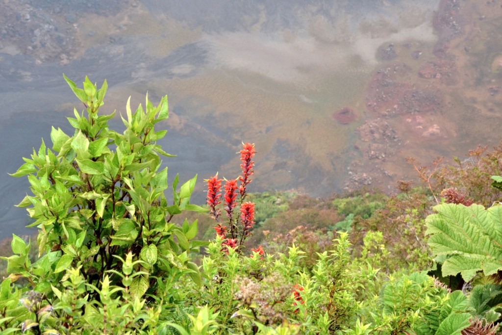 Foto: Antiguamenta la laguna del Volcan Irazu - Cartago, Costa Rica