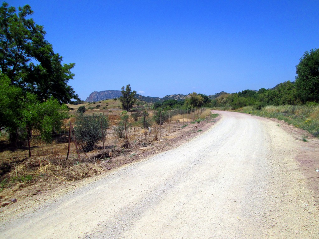 Foto: Camino carretera provicional - La Muela de Algodonales (Cádiz), España