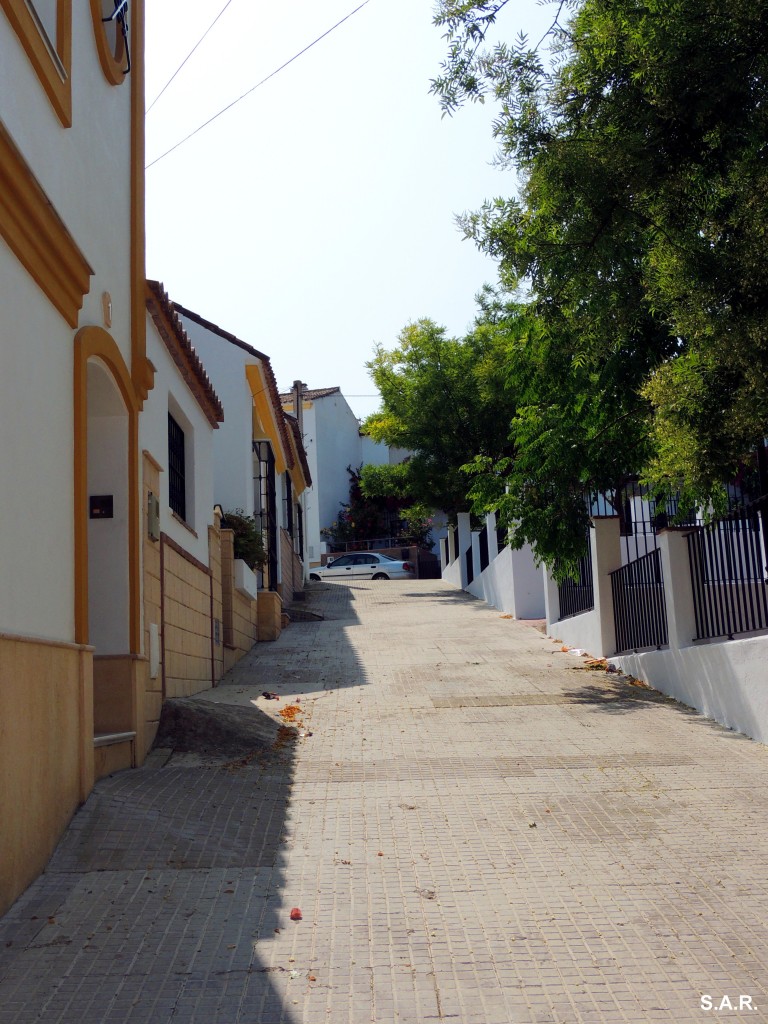 Foto: Calle Jacaranda - Bornos (Cádiz), España