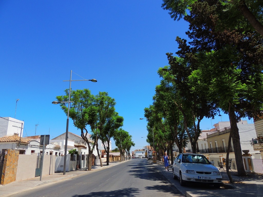 Foto: Avenida de Sevilla - Trebujena (Cádiz), España