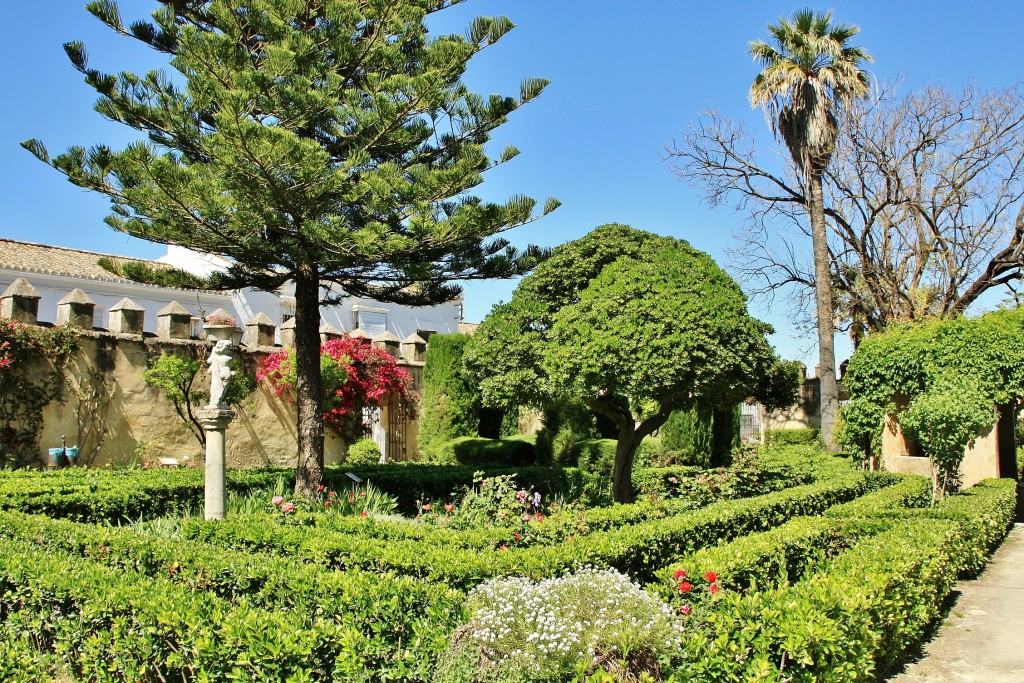 Foto: Jardín del palacio de los Ribera - Bornos (Cádiz), España