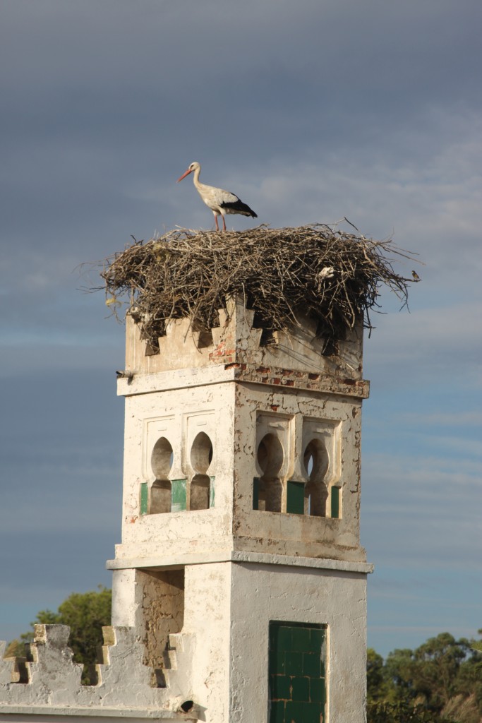 Foto de Fnideq (Tanger-Tétouan), Marruecos