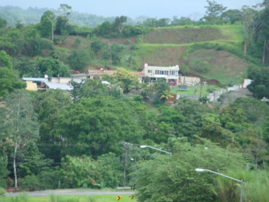 Foto de Sabanitas Quebrada Lopez La Jungla (Colón), Panamá