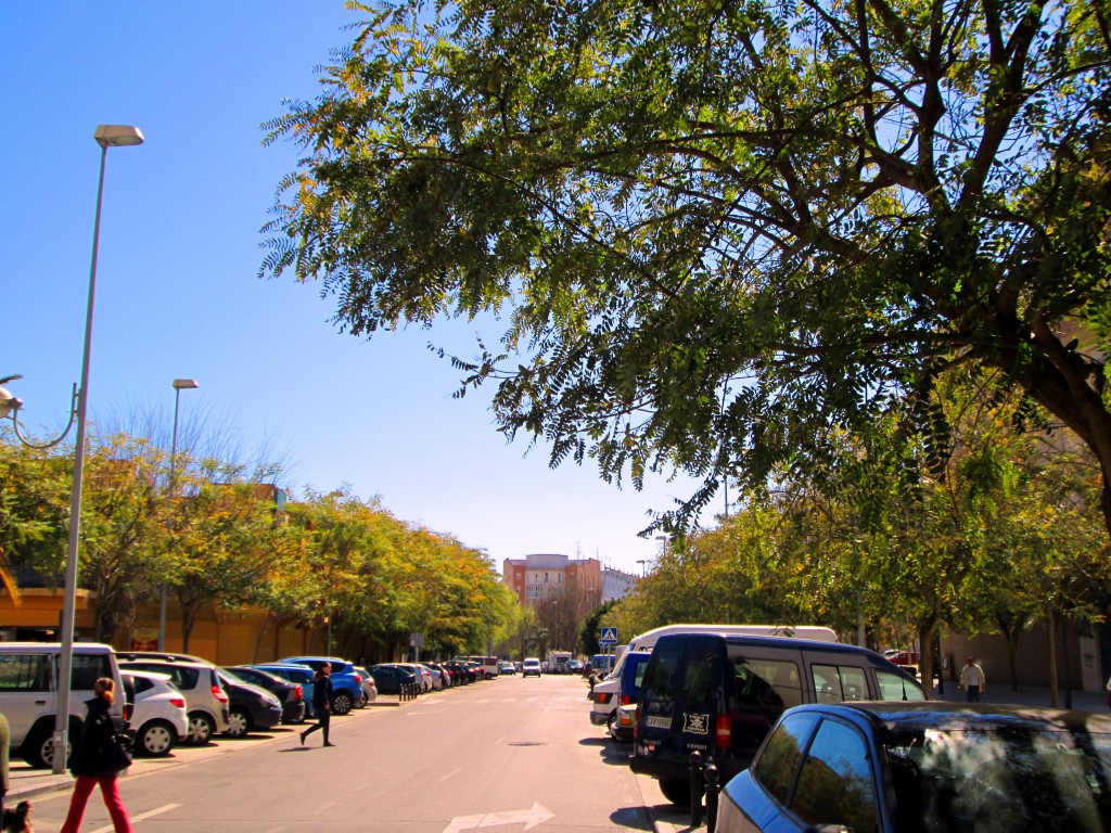 Foto: Avenida del Perú - Cádiz (Andalucía), España